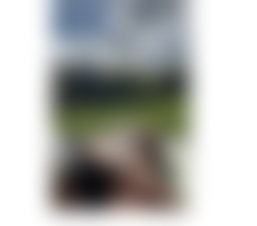 Escorts Central London London Bridge Station - Central London - Photos for JADE🦋💯%GENUIENE💥PARTY🔥 ONLY WHATSAPP